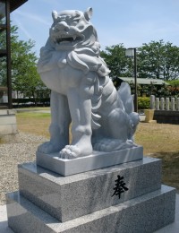 石川県　粟嶋神社4.5尺狛犬